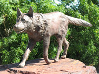 Statue of Red Dog, Dampier